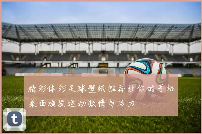 精彩体彩足球壁纸推荐让你的手机桌面焕发运动激情与活力