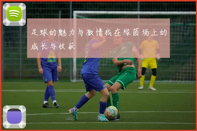 足球的魅力与激情我在绿茵场上的成长与收获